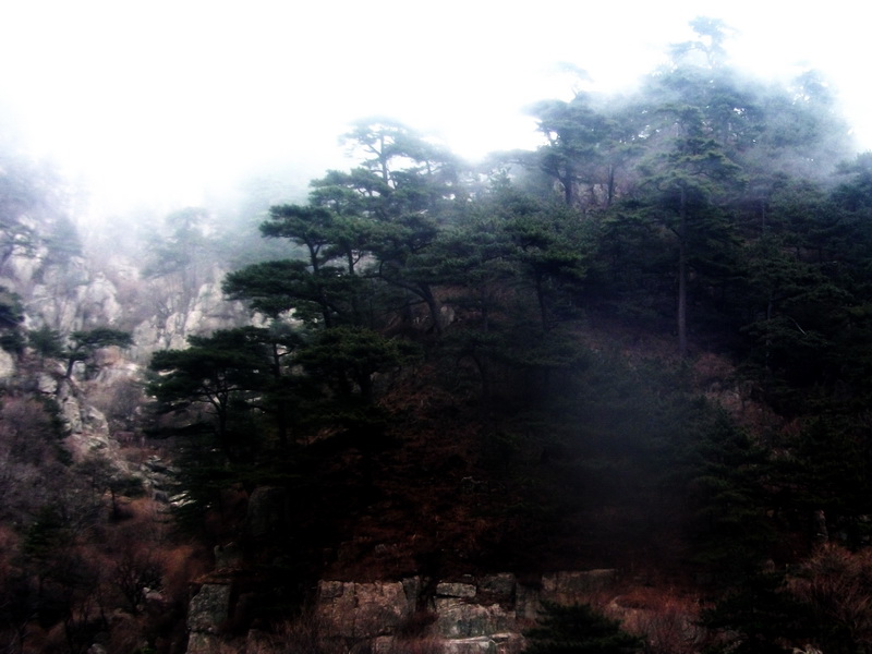 dscf0456.jpg