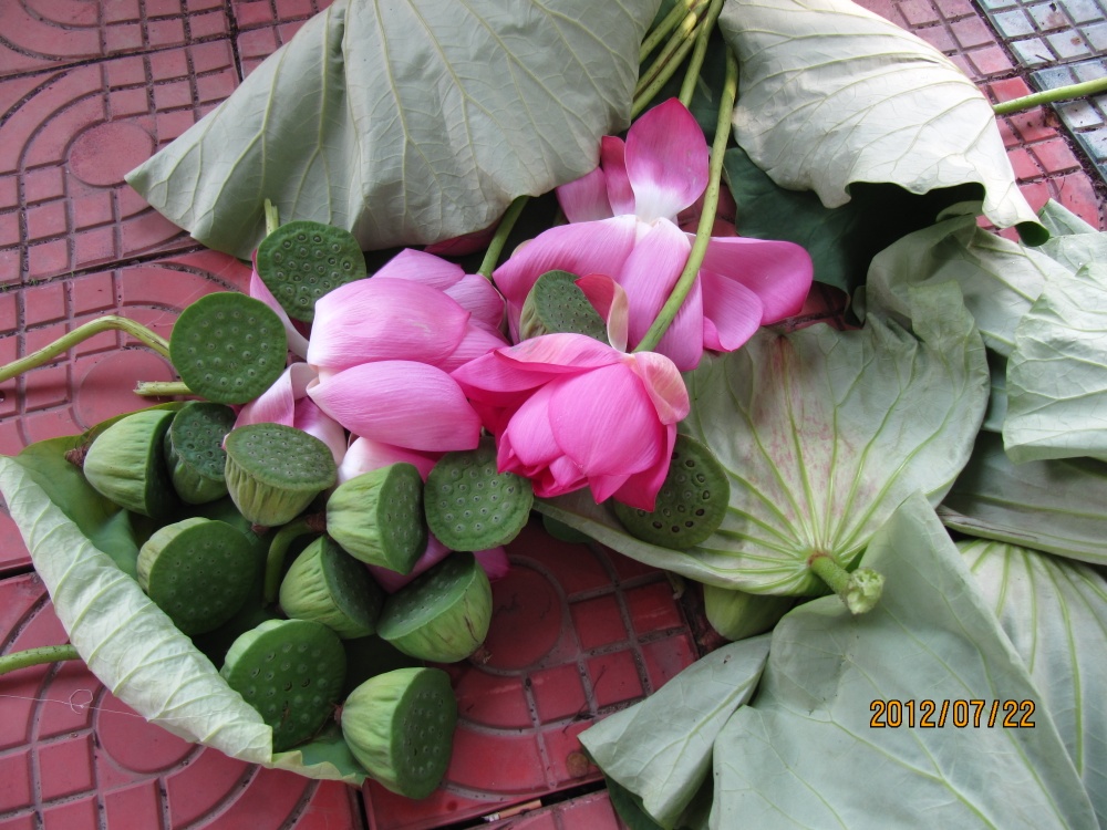 img_6792.jpg
