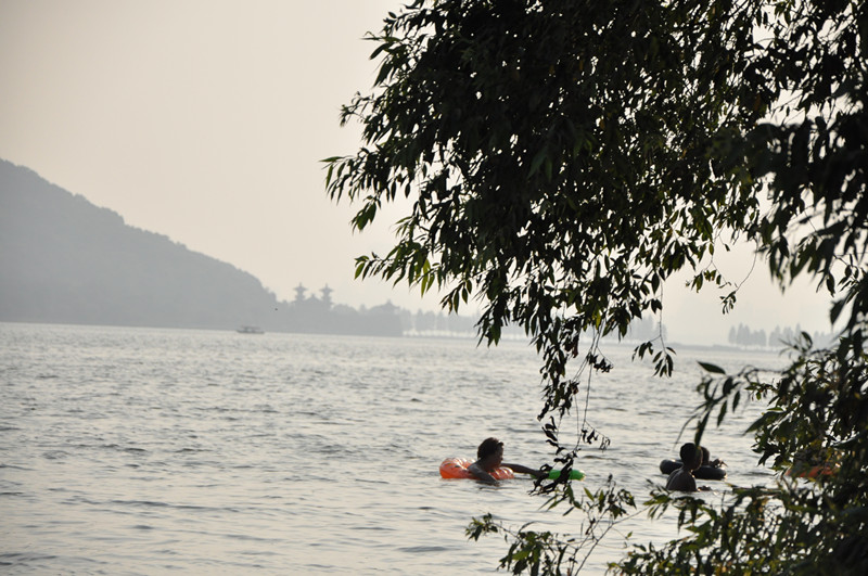 dsc_0311_.jpg