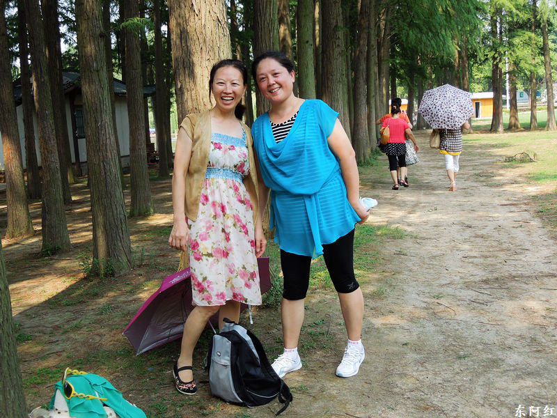 dscn0445.jpg