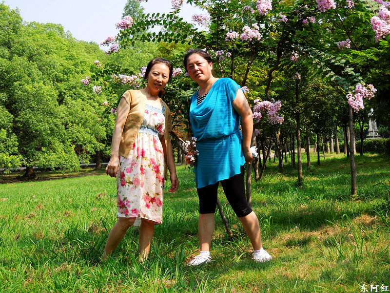 dscn0446.jpg