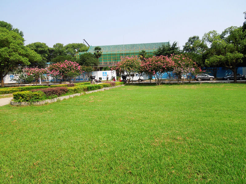 dscn0450.jpg