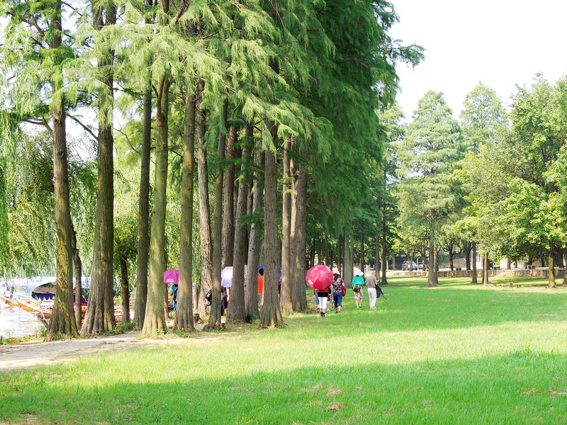 dscn0453.jpg
