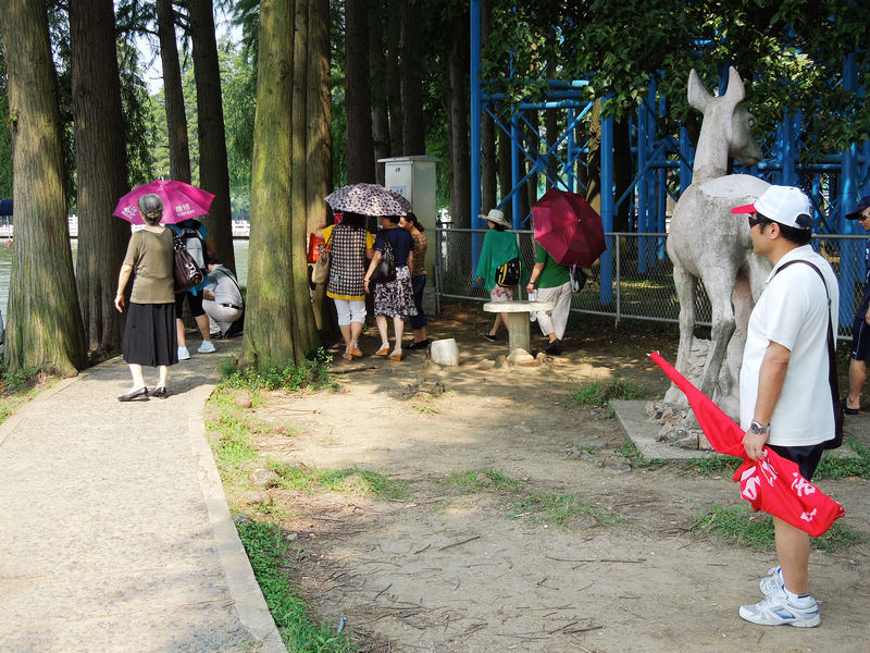 dscn0460.jpg