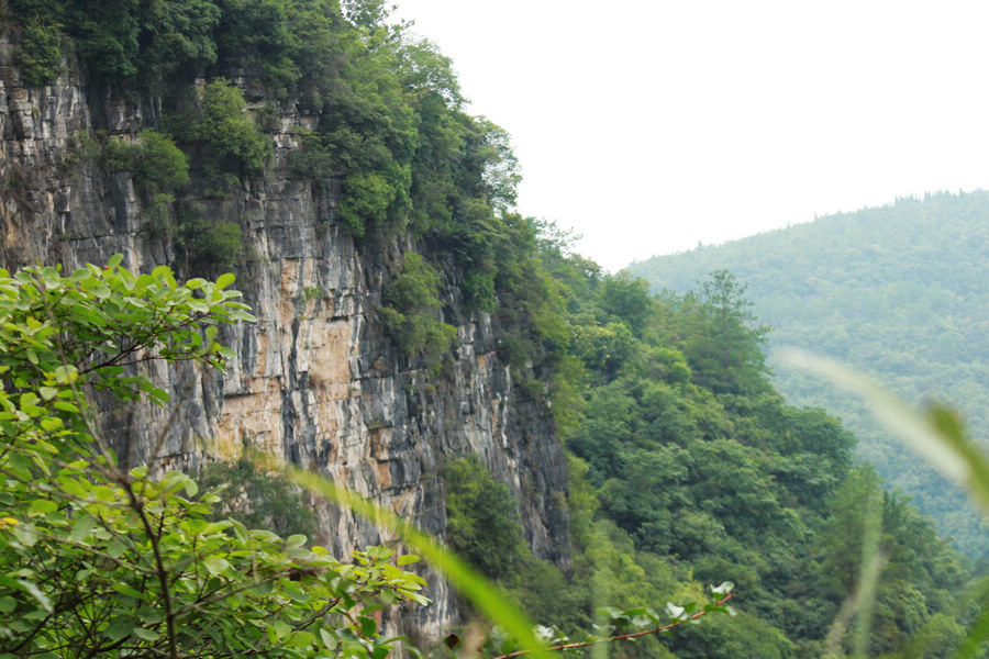 Ƭ 074.jpg