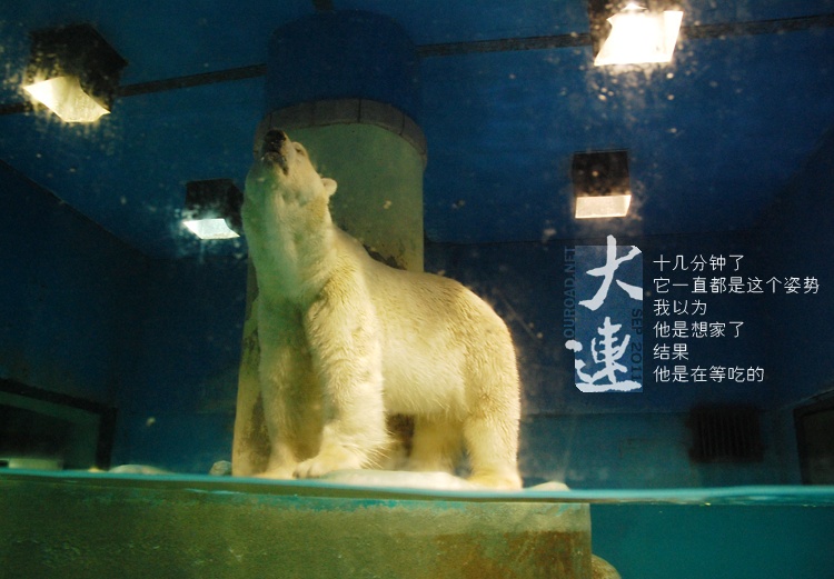 2011dalian09_024.jpg