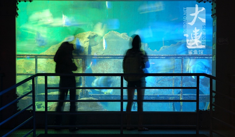 2011dalian09_039.jpg