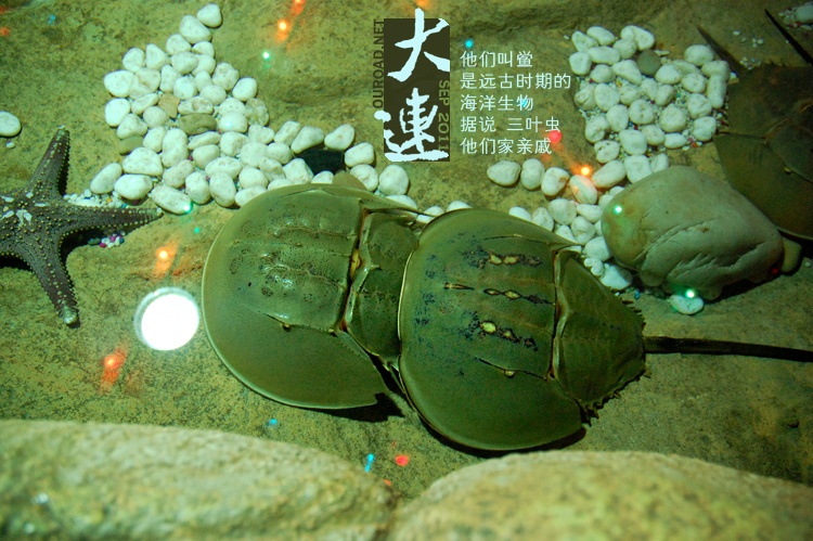 2011dalian09_046.jpg