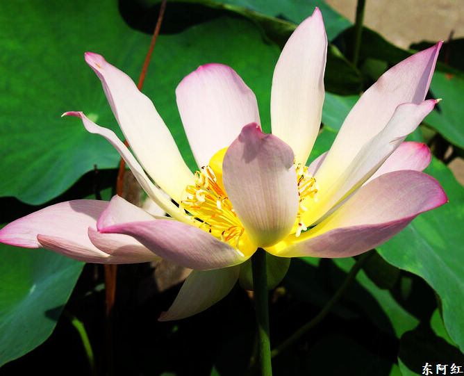 dscn0489.jpg