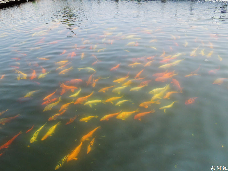 dscn0498.jpg