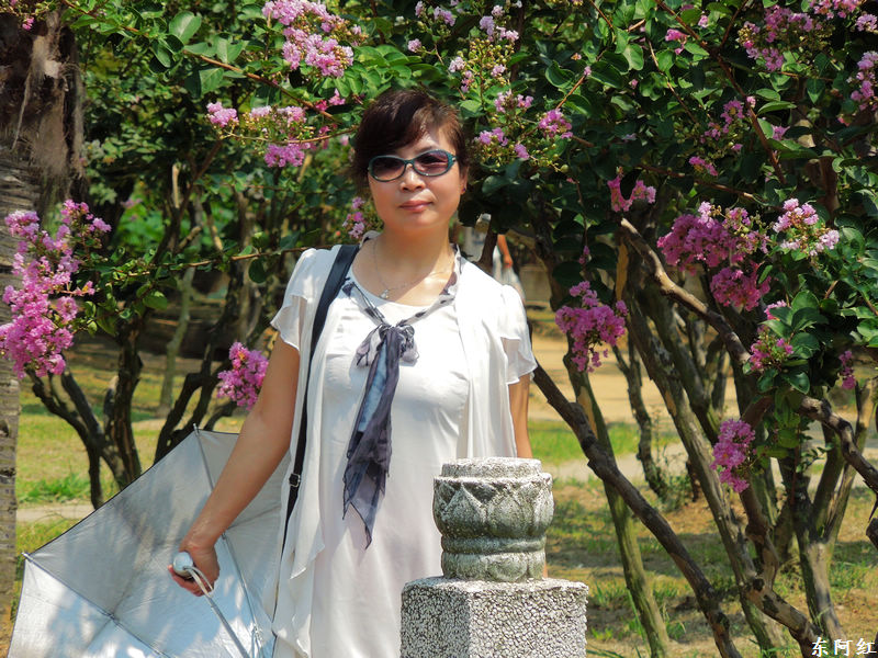 dscn0511.jpg