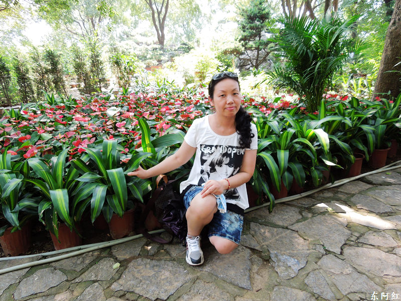 dscn0523.jpg