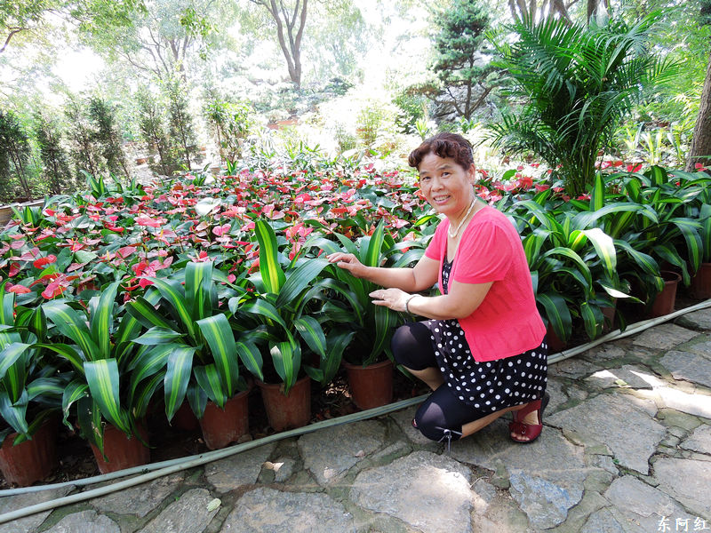 dscn0525.jpg