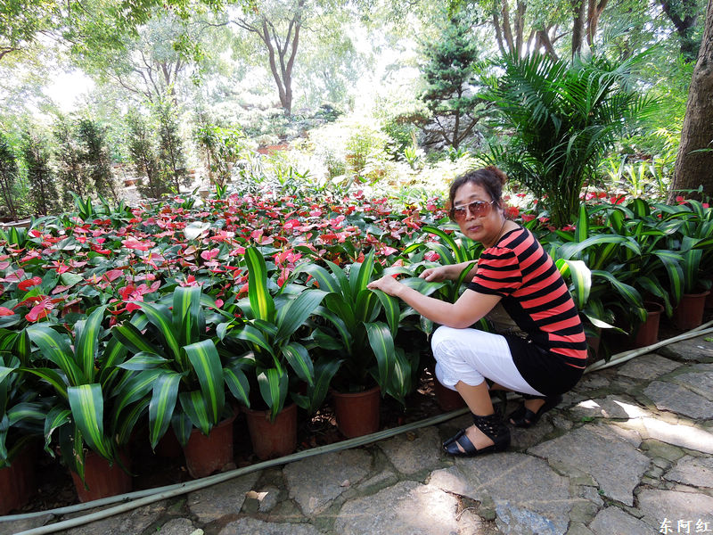 dscn0527.jpg