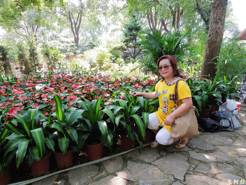 dscn0530.jpg