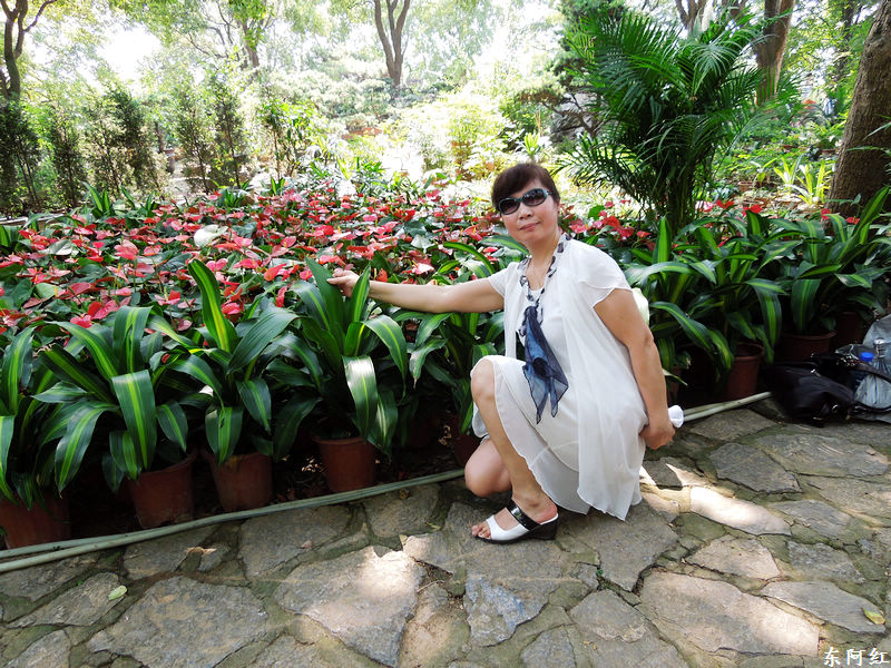 dscn0533.jpg