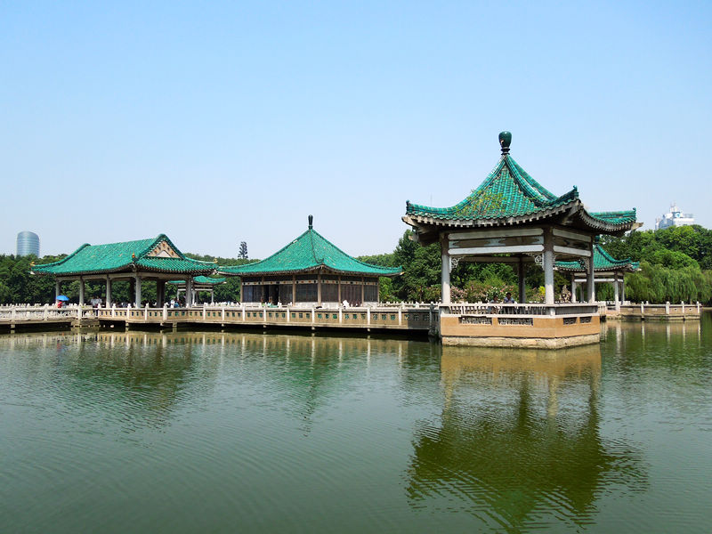 dscn0470.jpg