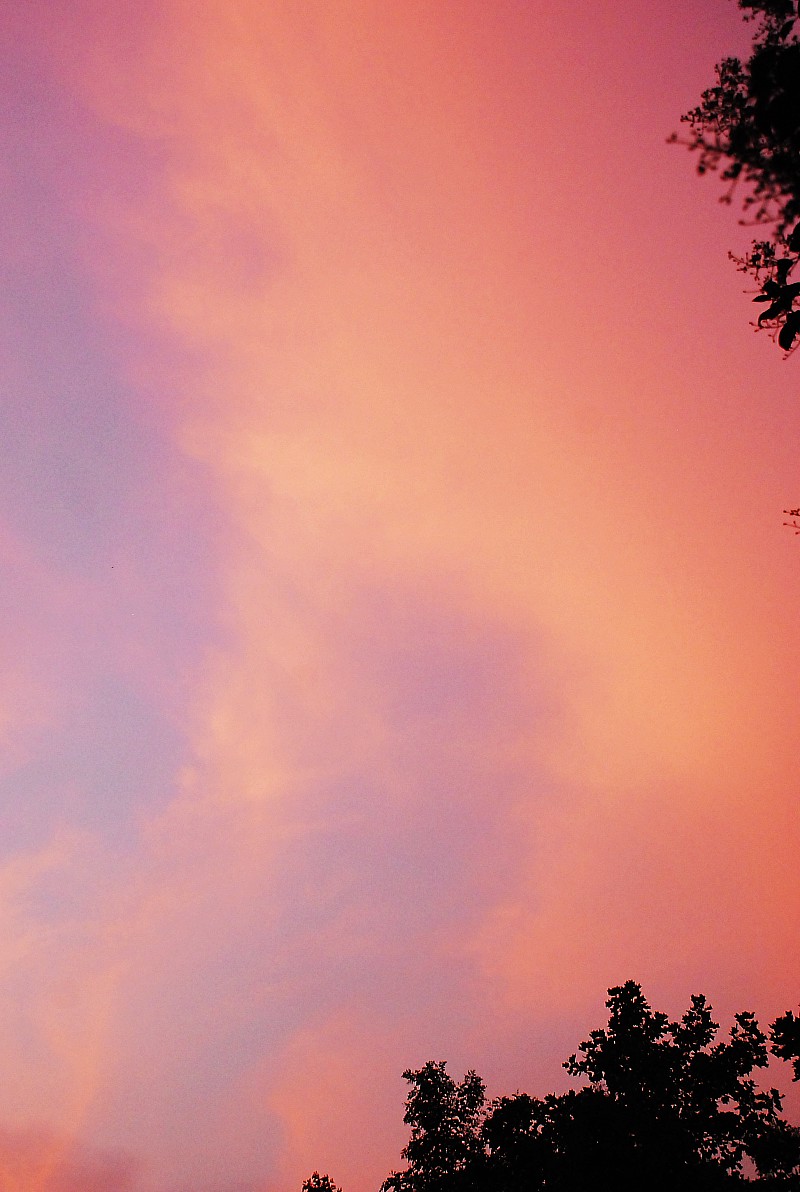 thumbdsc_9373.jpg