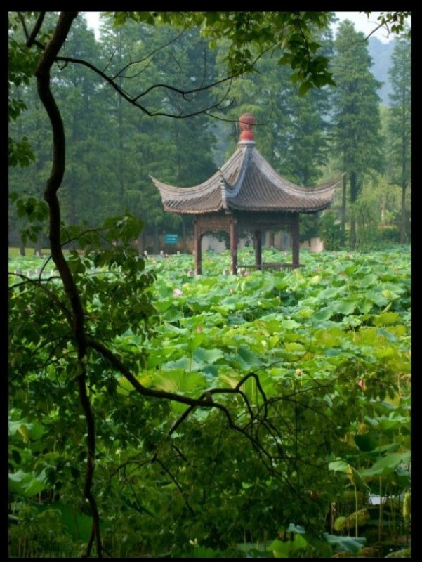 conew_conew_conew_dsc08197_conew1.jpg1.jpg