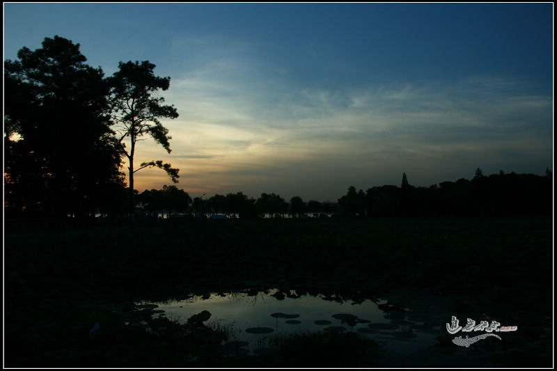 img_0431xg.jpg