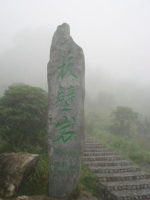 dsc08940.jpg