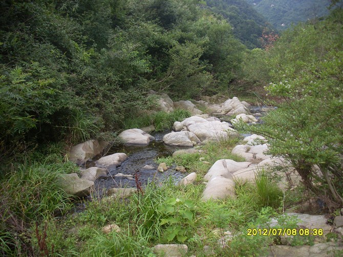 52_183033_104d77442bb0efa.jpg
