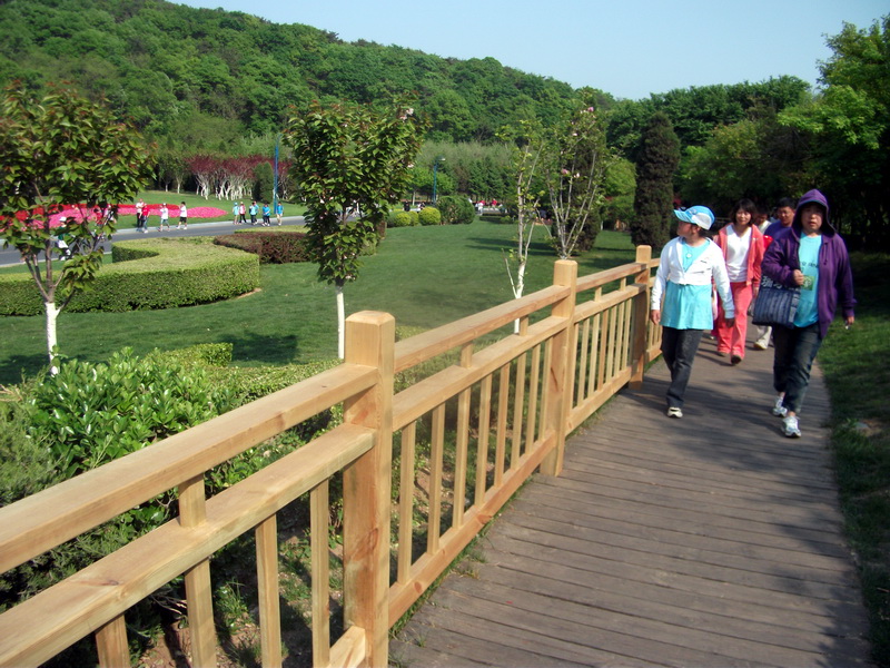 dscf0621.jpg