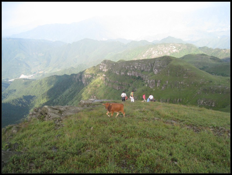 conew_img_3745.jpg