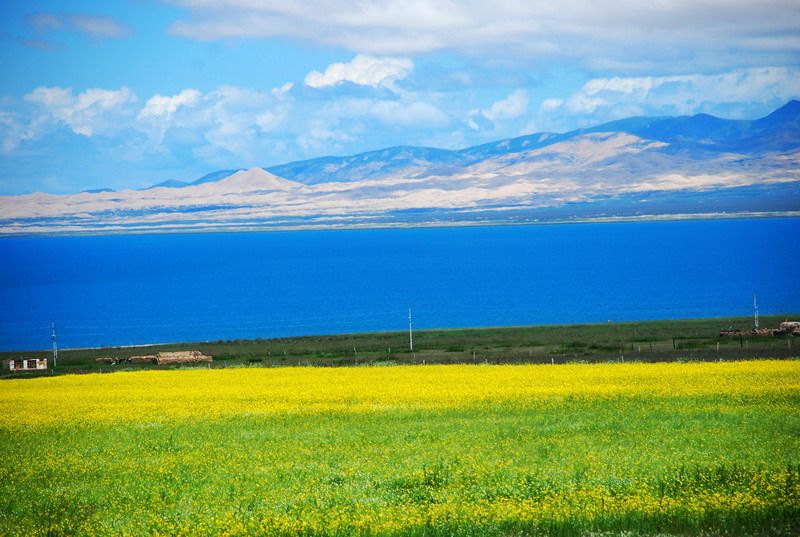 dsc_1944.jpg