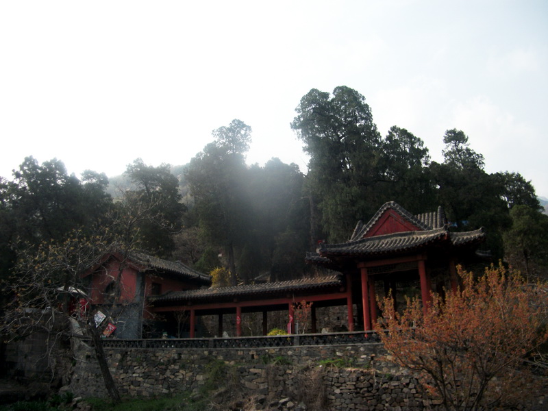 dscf0631.jpg