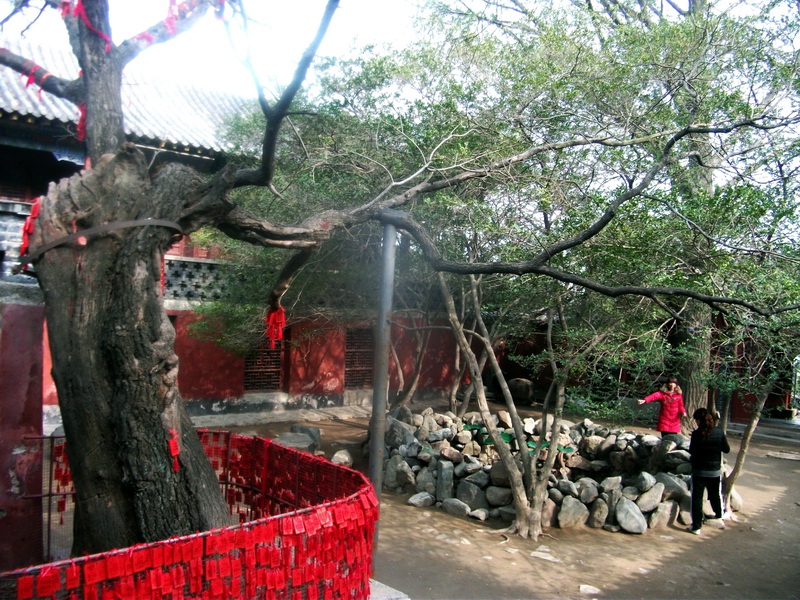 dscf0632.jpg