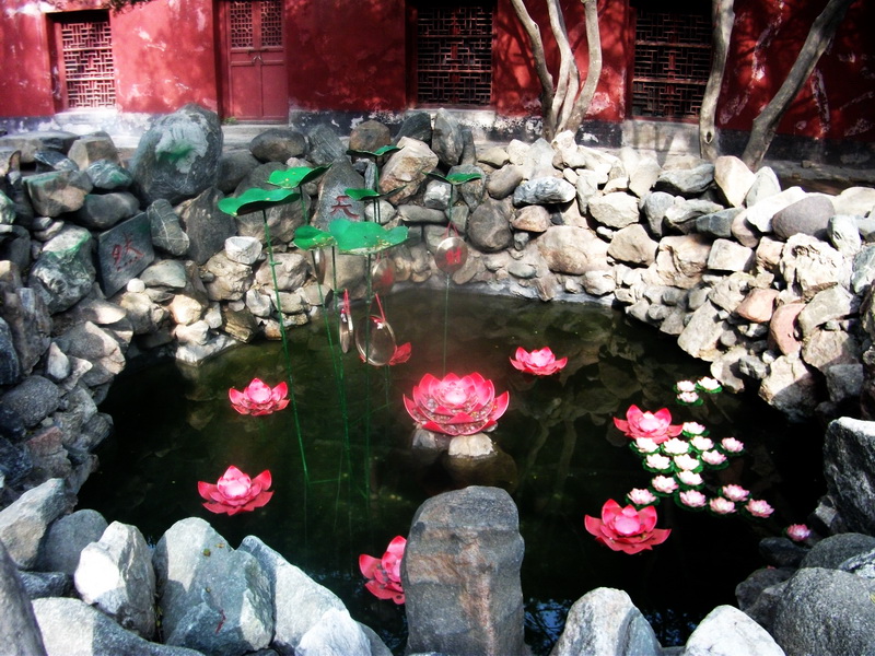 dscf0633.jpg