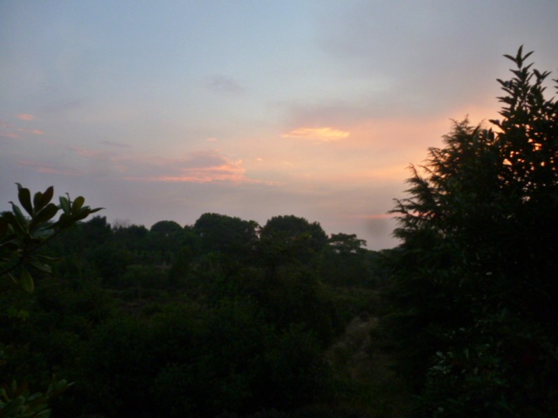 conew_p1060052.jpg