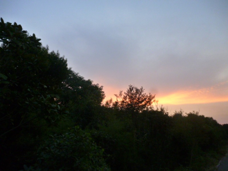 conew_p1060058.jpg