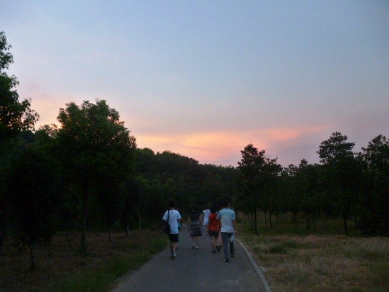 conew_p1060061.jpg