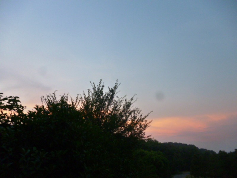 conew_p1060060.jpg