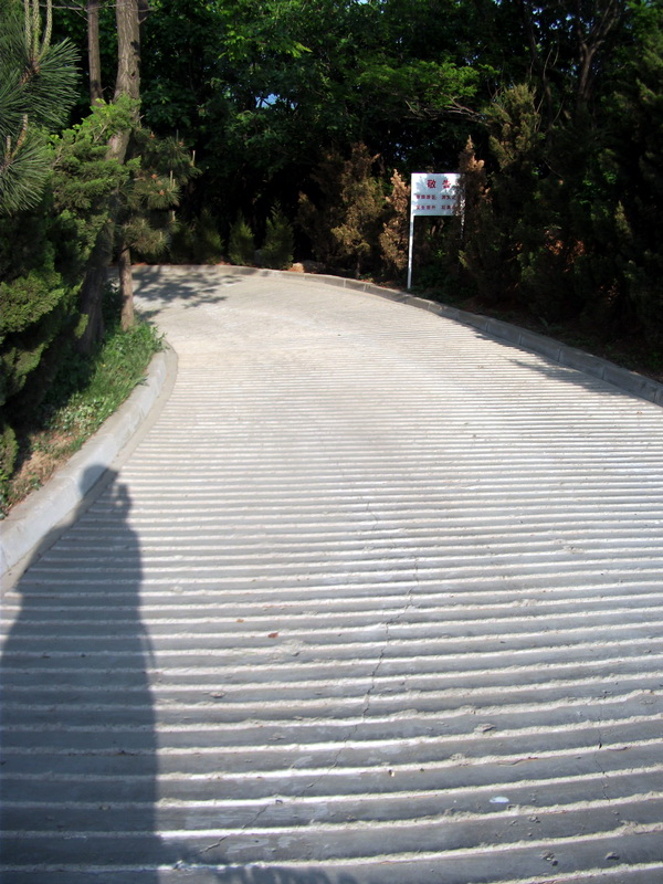 dscf0633.jpg