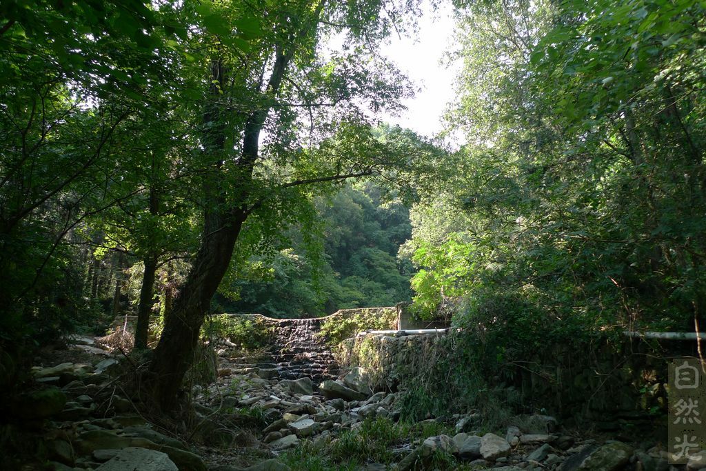 l1360444.jpg