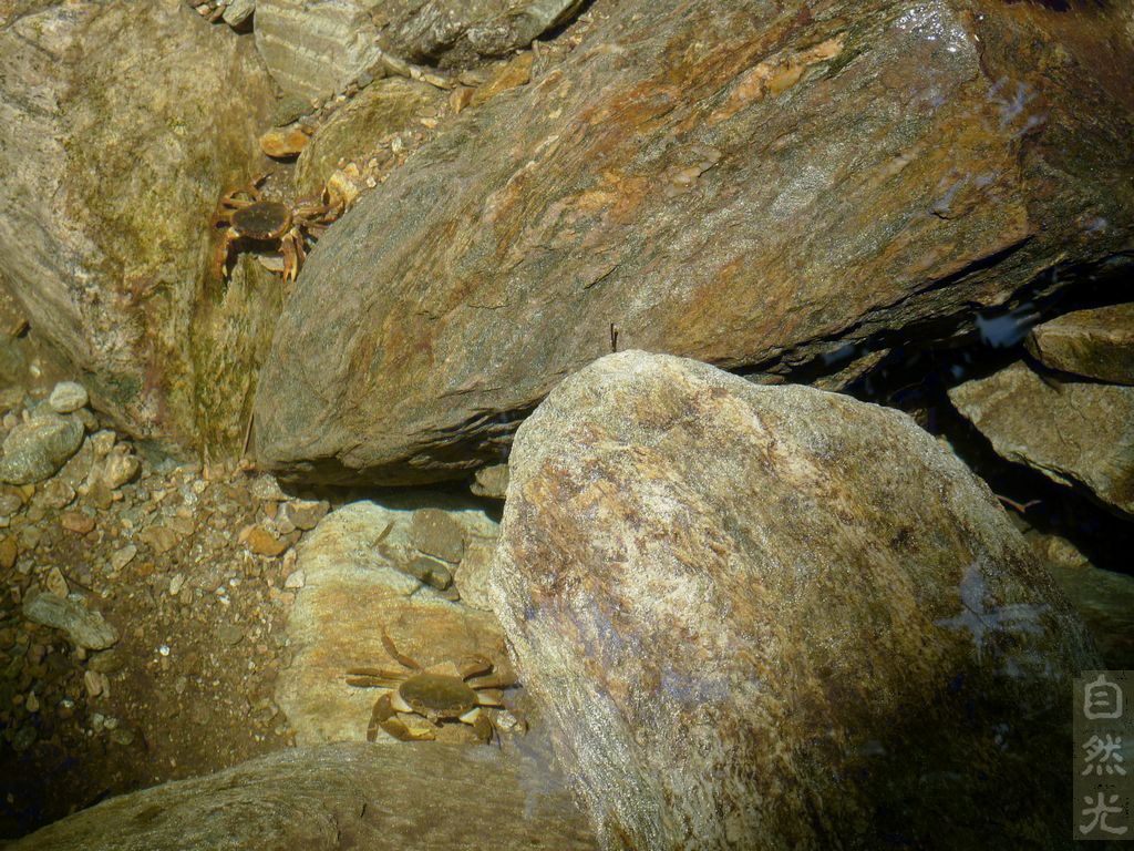 l1360628.jpg