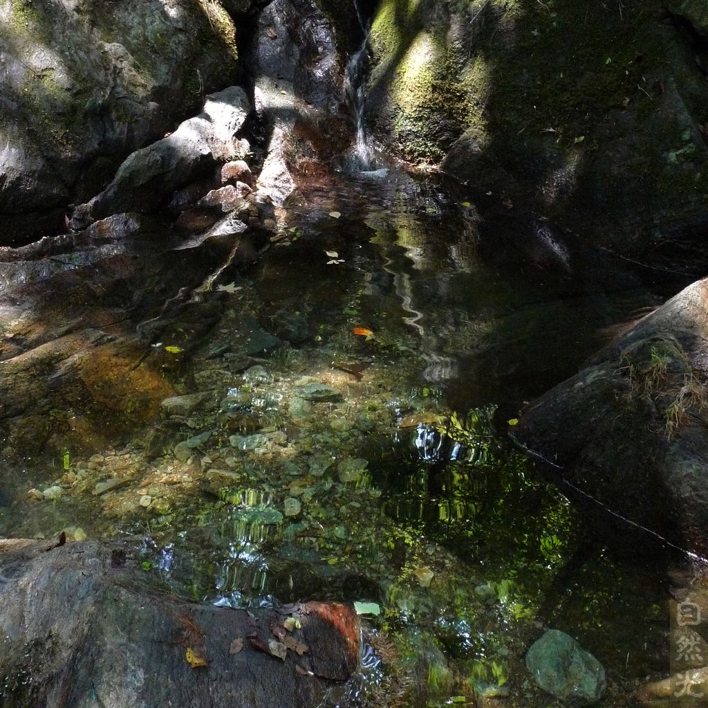 l1360629.jpg