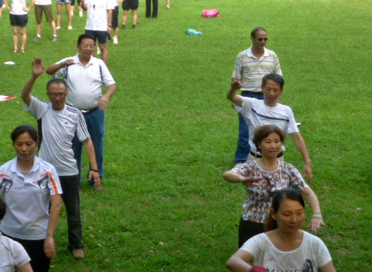 conew_p1060101.jpg