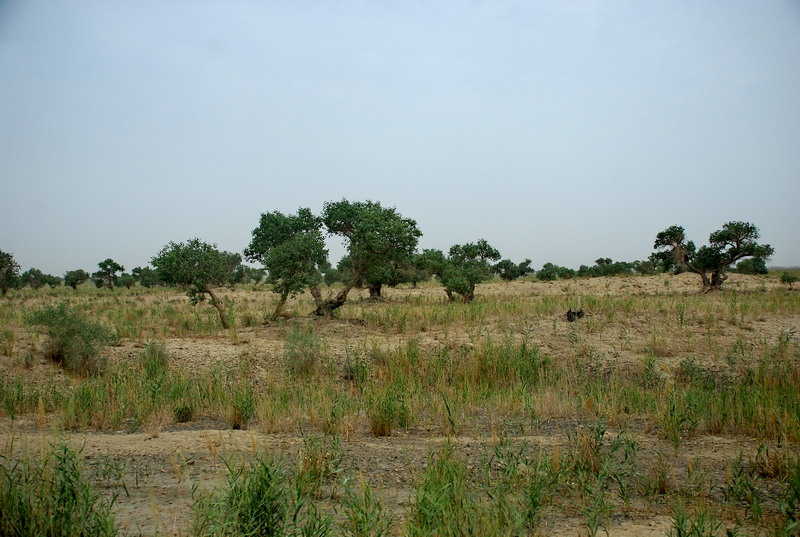 dsc_2168.jpg