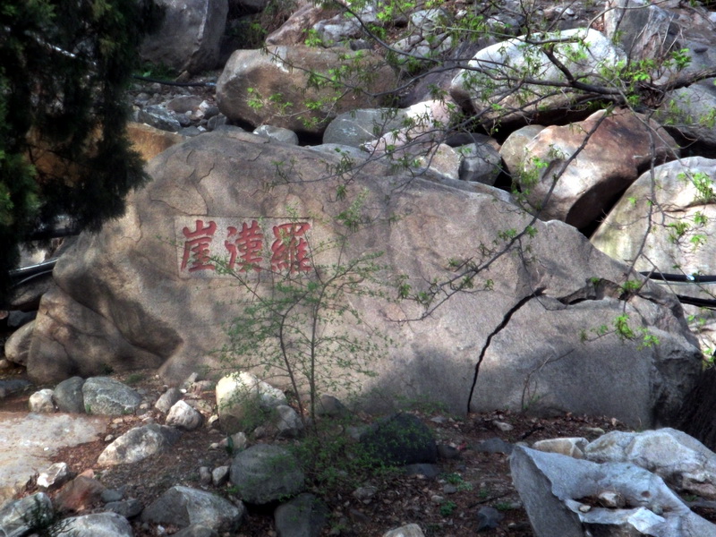 dscf0642.jpg
