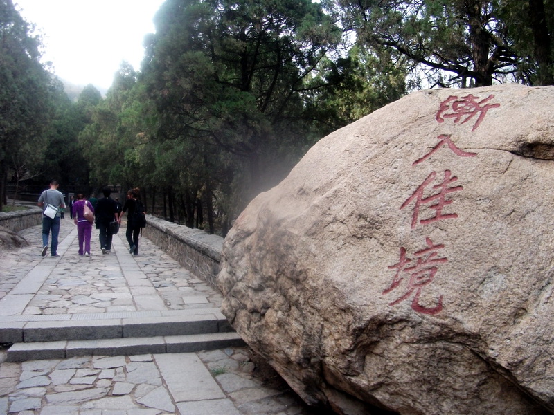 dscf0646.jpg