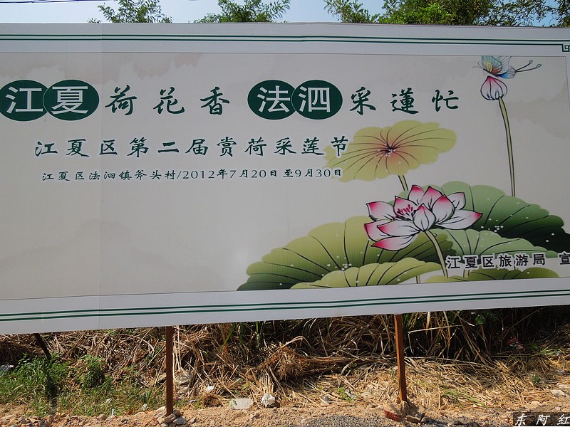 dscn0866.jpg