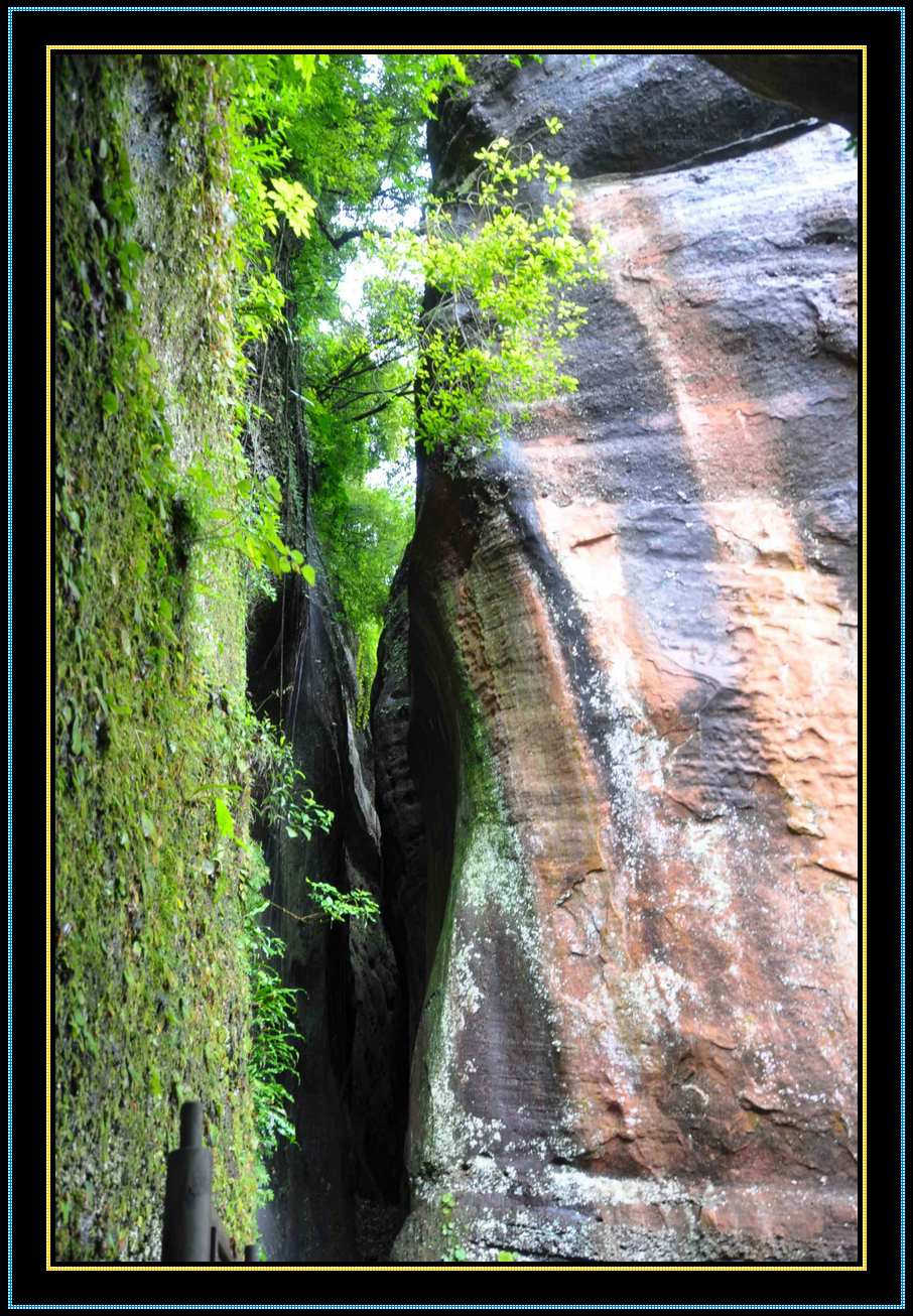 dsc_0330.jpg