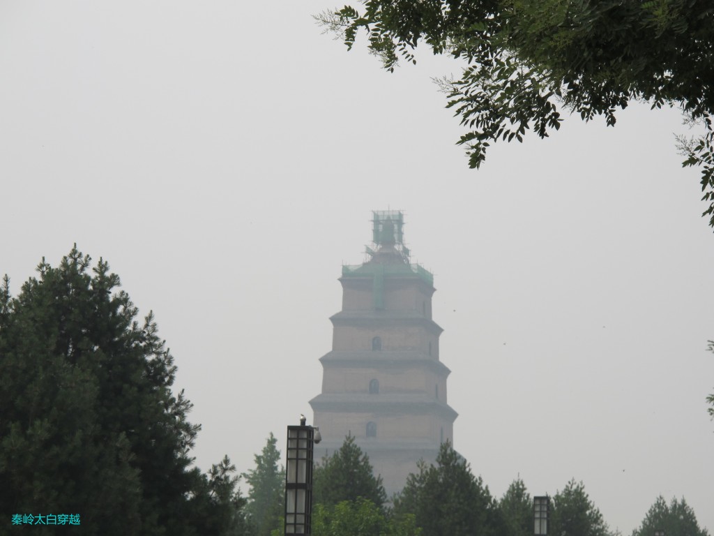 conew_6y 0171.jpg