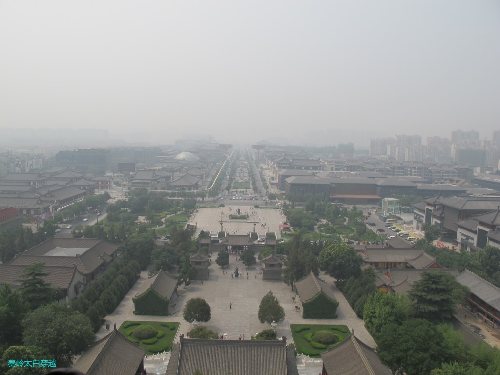 conew_6y 0521.jpg