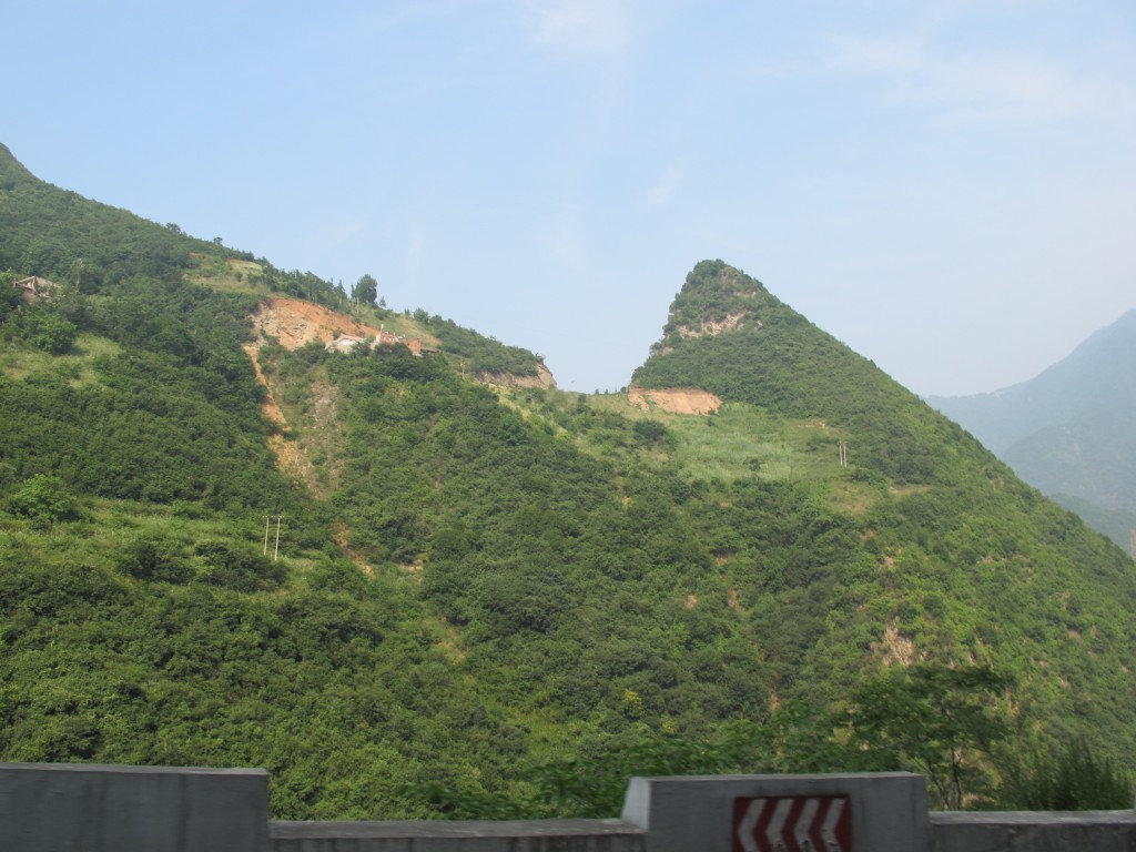 conew_6y 077.jpg