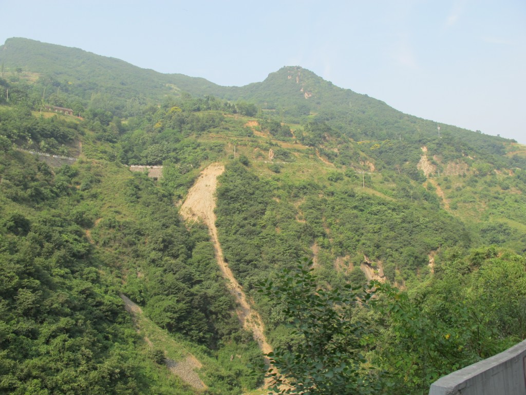 conew_6y 075.jpg